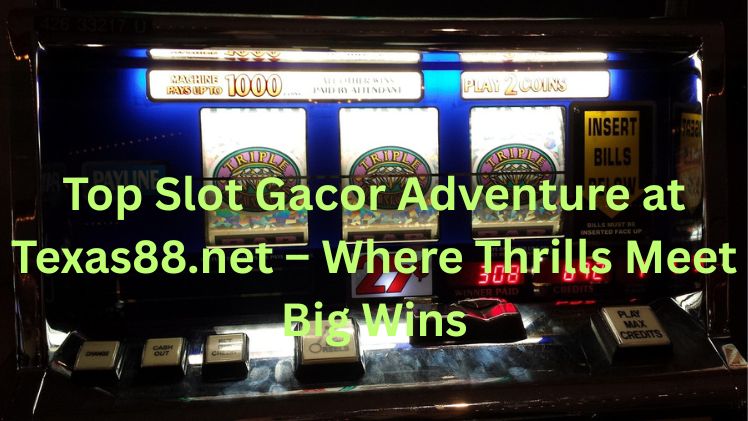 Top Slot Gacor Adventure at Texas88.net – Where Thrills Meet Big Wins